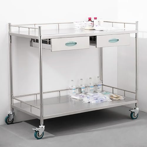 Laborwagen aus Edelstahl mit 2 Schubladen, Rollwagen für Dentallabor, Büro, Restaurant, Hotel und Krankenhaus, kommerzielle Qualität, mit Rollen und Stauraum
