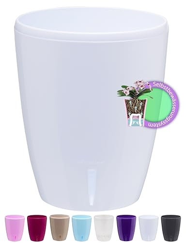 Santino Maceta para Orquídeas Ø 12cm Maceta Autorriego con Sistema de Mecha e Indicador de Nivel de Agua para Interior (Ø 12cm - 1,3L - Blanco)