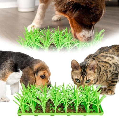 Silikon-Grasmatte für Katzen, Katzengrasmatte für Indoor-Katzen Silikon, Grünes Gras Silikon Slow Food Matte, Katzengrasmatte Futterspielzeug, Haustier-Schnüffelmatte für Hunde, leicht zu reinigen (1
