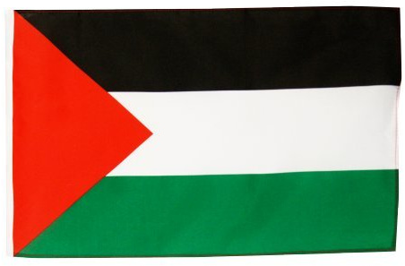 Digni® Drapeau Palestine 30 x 45 cm
