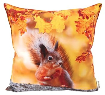 CB Home & Style Outdoor Garten Kissen Herbstkissen Herbstdeko Outdoorkissen Wasserabweisend 45x45cm mit Füllung (Herbst 17 - Eichhörnchen)