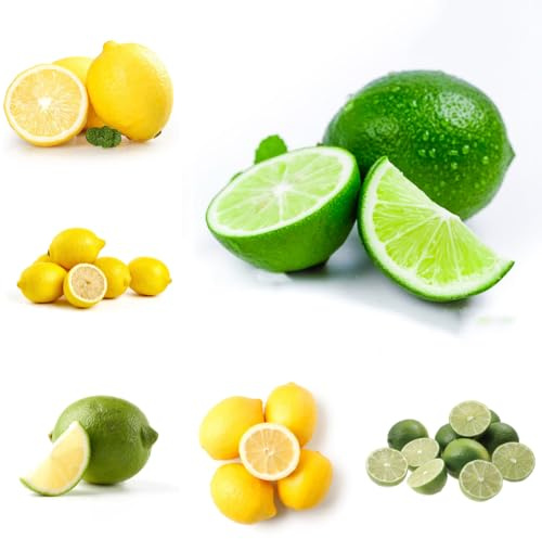 semillas de limonero - variedades antiguas jardín huerta de jardín rocas Limonero resistentes exótico 200pcs