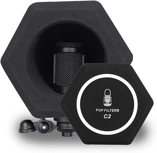 Aurion Bouclier anti-vent pour microphone - Boule d'isolation acoustique pour studio d'enregistrement - Mousse haute densité absorbant le son - Enregistrement de qualité studio