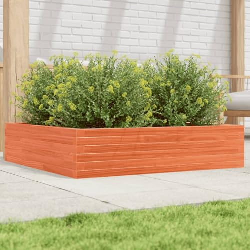 Iiaky Jardinière Cire Marron 100x100x23 cm Bois de pin Massif,Jardiniere sur Pieds,Bac avec Treillis,Jardiniere Terrasse