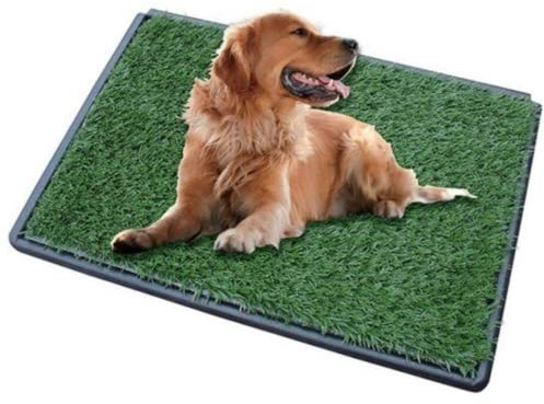 Gtrise Hundetoilette - 2 Matten – Hundeklo - Draußen/Drinnen – Töpfchentraining Ebook – Hundeklo Für Zuhause