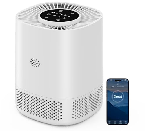Purificador de Aire con Filtro HEPA H13, Puede Filtrar el 99,97% de Polvo y Humo, Área de Cobertura de Hasta 110 m², Modo de Suspensión de 20 dB, Tres Velocidades de Viento Adecuadas para Hogares