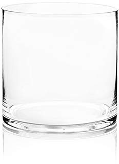 WGV Cylinder Vase, Width 8, Height 8, Clear Wide Large Diameter Flower Glassware, Floral Container, Planter Terrarium for Wedding Party Event, Home Accent Decor, 1 Piece