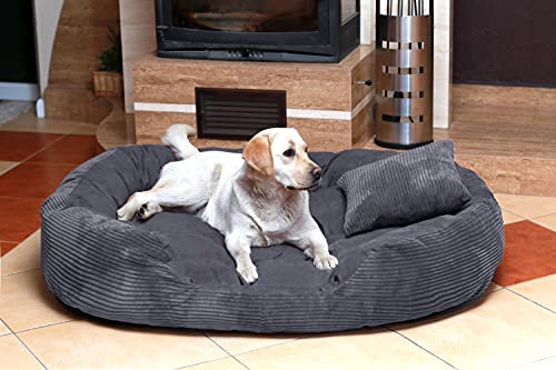 tierlando® Philip Soft Cord Hundebett aus edlem Cord-Velours-Mix mit bequemer 4-Kammer-Matratze, pflegeleichtem Bezug und Stabiler Polsterung Größe: 110x80cm | Farbe: 02 Graphit