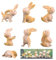 XiXiRan Osterhase Kaninchen, Miniatur Kaninchen Figur, Mini Osterhasen Figuren Deko, Häschen Osterdeko, Mini Hase Deko Harz, Osterhase Desktop Ornamente, Miniatur-Landschaft Kaninchen (7 pcs)