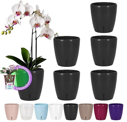 Santino 6er-Set Selbstbewässernder Topf mit Dochtsystem und Wasserstandsanzeige für den Innenbereich, Orchideentopf D 15cm (Anthracite - 2L)