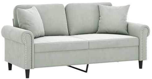 vidaXL Sofa 2 Sitzer, Couch mit Zierkissen, Liegesofa für Wohnzimmer, Polstersofa Sessel Relaxsofa Loungesofa Relaxcouch, Hellgrau Samt