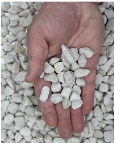 LoviStore Ciottoli in Marmo Bianco 25kg per Decorazione Giardino o Vasi, Sassi, Pietre, Ghiaia, Graniglia Ornamentale, Granulato lapideo per Abbellire e Ricoprire Esterno o Interno (7/15 mm)