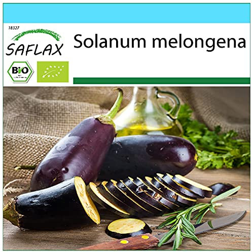 SAFLAX - - BIO - Melanzana - Long Purple - 20 semi - Solanum melongena