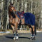 Horze Kingsley Trainingsdecke, Ausreitdecke, Warm, Größe: Pony, Vollblut, Warmblut, Extra Warmblut, Dunkelnavy, Blau, C
