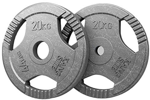1 Paar - Langhantel Gewichtsplatte Fitnessstudio Gewichtheben Gusseisen Scheiben Home Fitness Hantelscheiben,29mm-Hole,2x20kg