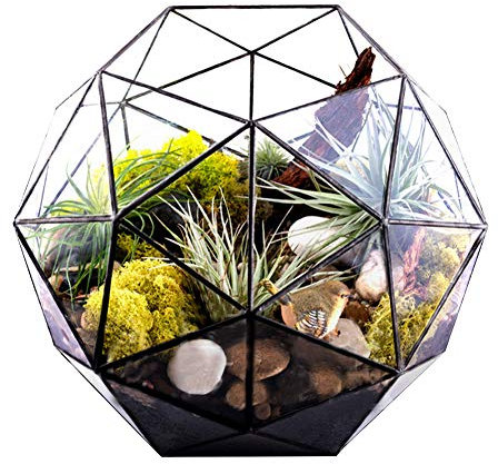 HOHXFYP Terrario Geométrico de Cristal, Macetero para Suculentas y Aire, Macetas, Contenedor de Plantas, Decoración Jardín en Miniatura para Cactus, Helechos, Musgo O Hogar,Oficina