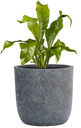 Pflanzwerk® Jardinera Fibra de Vidrio Cup Ø27cm Antracita de Lava *Maceta a Prueba de heladas* *Protección UV* *Calidad Europeo*