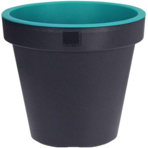 Rammento 35cm Thermoplastic Plant Pot, Black with Blue Rim | 31cm Tall Large Plastic Patio Pot for Plants, Flowers & Shrubs | Plastic Indoor Houseplant Pot/Outdoor Herb Garden & Balcony Planter