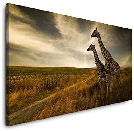 Paul Sinus Art 120x60cm Giraffen im Sonnenuntergang Afrika Panorama Leinwand Bild XXL Format Wohnzimmer Deko Kunstdrucke
