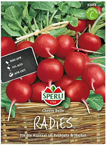 Sperli Radieschensamen Cherry Belle 82058, Gemüsesaat | Raschwüchsige Freilandradieschen Samen, für Gemüsesamen-Liebhaber