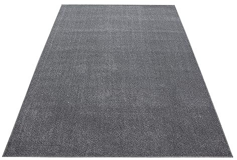 Stilvoll Günstig by ELMM Teppich Wohnzimmer Schlafzimmer Hellgrau 160 x 230 Unicolor - Einfarbig Kurzflor