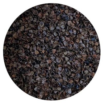Brow Farm Buckwheat Hulls (Husks) for Pillows, Cushions & Craft Filling – Clean, Air-Dried Eco-Friendly Hulls Sold by Weight (kg) | Natural, Breathable Support for Zafus, Bolsters & Upholstery |10kg