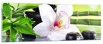 ARTTOR Bilder auf Glas 90x30cm Wandbild Glasdruck Botanik Blumen - 3659 | Blume Orchidee Panorama Klein Modern Dekoration Wohnzimmer Schlafzimmer Küche Wanddeko Kunstdruck Art Wall Decor ARTTOR