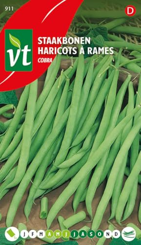 Gousses Cobra Graines - Formant une belle pomme