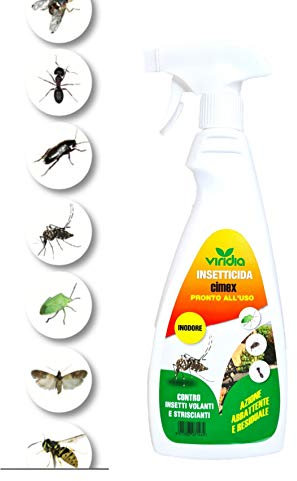 Insetticida anti zanzare mosche Formiche Scarafaggi Serpenti Vespe Api Insetti CIMEX insetticida SPRAY per moscerini cimici api vespe per cocciniglia blatte bruchi verdi mosche per interno ed esterno