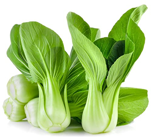 Earthcare Seeds Pak Choi 250 Seeds (Brassica rapa subsp. chinensis) Heirloom - Open Pollinated
