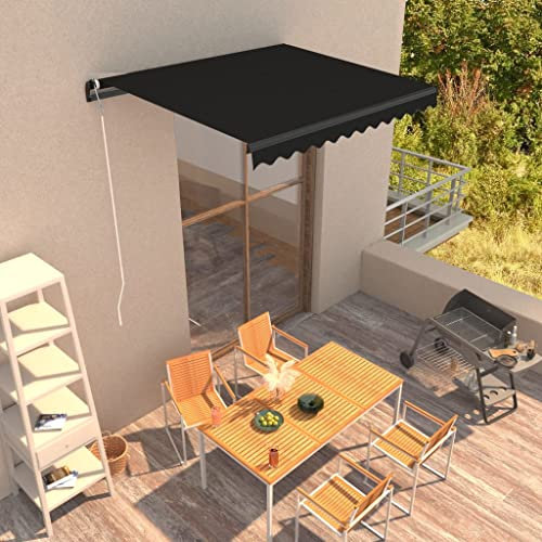 Lawn & Garden Manuell einziehbare Markise, 300 x 250 cm, Anthrazit, Outdoor Living