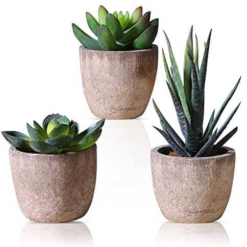 3 Stück Künstliche Pflanzen, Künstliche Sukkulenten Pflanzen, Kunstpflanze Bonsai mit Topf, Künstliche Blumen, Fake Plant Aesthetic Deko für Wohnzimmer Balkon Schlafzimmer Badezimmer Deko Geschenk