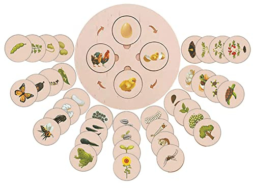 Lebenszyklus Brett aus Holz, Life Cycle Board Montessori Holzspielzeug ab 1 jahr Lernen Tiere Schmetterling Hahn Frosch Schildkröte Spielzeug Kleinkind Puzzle Lernspielzeug für Kinder,20cmx30cmx4cm