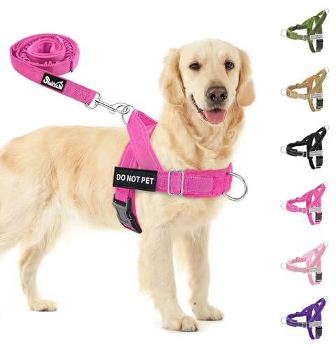 SlowTon Set med hundsele och koppel, inget drag, justerbar med nacke och bröst, läckagesäker anti-foot-sele samt hundkoppel, militär taktisk sele (rosenröd, XL)