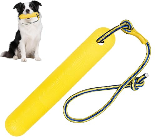 Ktnyl 24cm Hundespielzeug Wasser, Spielzeug für Hunde, Wasserspielzeug Hund Schwimmend, Hundespielzeug Schwimmend, Geeignet für Spiele Im Freien, Spielzeug für Mittelgroße Und Große Hunde