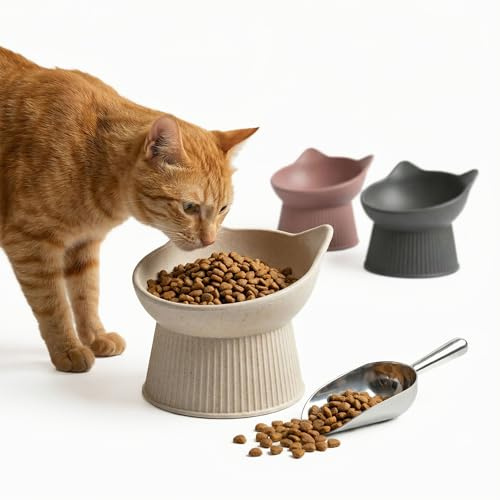 PiuPet® Upphöjd Kattmatskål - Ergonomisk Matskål med 15 Lutning, Beige | Bred och grund design minskar morrhårsstress, halkfri och diskmaskinssäker skål av hållbar bambu och plast för alla foder