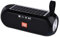 ELLENNE Enceinte Bluetooth avec charge solaire 10 W haut parleur WIFI TG182 (Noir)