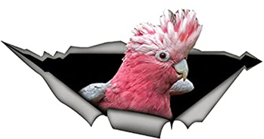 Lot de 2 autocollants 3D réfléchissants pour voiture - Décoration de carrosserie - Autocollant - Étanche - Pour capot de voiture - Pour décoration de voiture - Perroquet #2