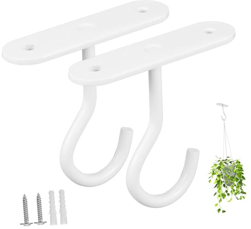 NOLITOY Ganci da Soffitto Ganci Parete Resistenti e Moderni 2 Pezzi in Ferro Set per Appendere Piante e Decorazioni ed Esterni per Vasi Sospesi e Campanelli Vento
