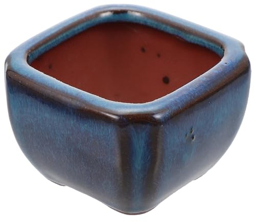 Yardenfun Maceta Decoración Creativa de Arena Morada Pequeña para Suculentas Orificio de Drenaje Estilo Chino Artesanía Detallada para Hogar y Sala