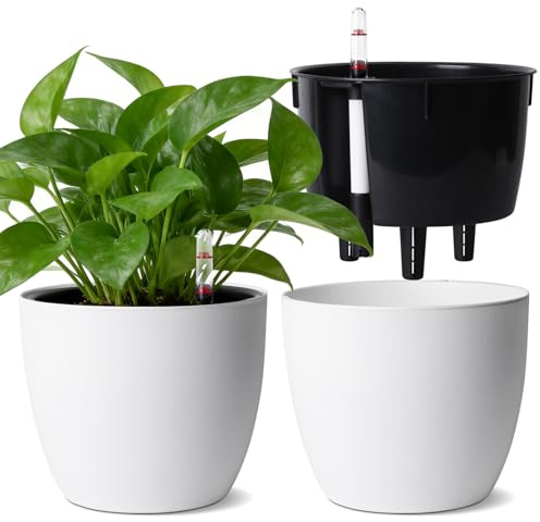 T4u Set De 2 Macetas Autorriego 15 Cm con Indicador Agua, Maceta Autorriego para Principiantes Y Ocupados, Macetas Decorativas Interior, Maceta para Pothos Y Monstera, Uso Interior Exterior (Blanco)