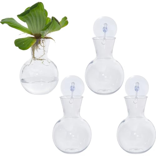 DICOSMETIC 4 stazioni di moltiplicazione delle piante per finestre, idroponica, vasi di moltiplicazione delle piante, in plastica, con ventosa e ganci per finestre, pareti di piastrelle e specchi