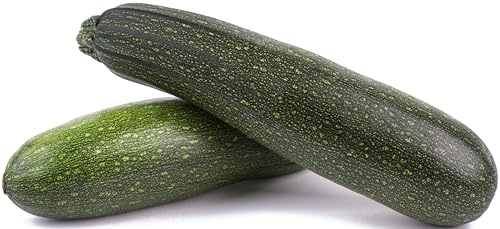 50 Black Beauty Zucchini Seeds for Planting – Heirloom, Non-GMO, USA Grown – Summer Squash (Cucurbita Pepo) – by RDR Seeds
