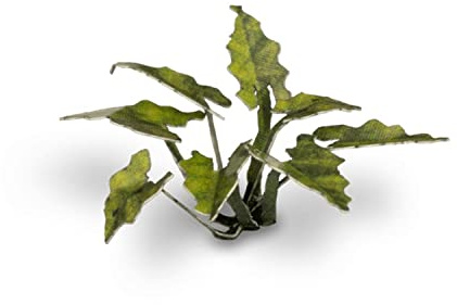 Gamers Grass Laser Plants Lords-and Ladies