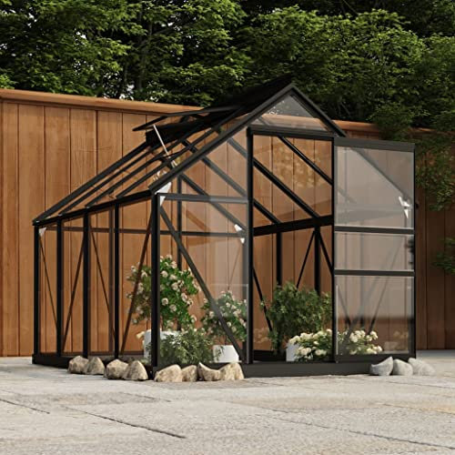 WSJHUHK Lot de 16 verres de rechange pour la maison et le jardin, la pelouse et le jardin, le jardinage, les serres, les serres