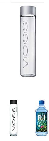 Voss Artesian Gletscherwasser in Glasflasche 0,8 Liter + Fiji Wasser von den Inseln 1 x 1,0 Liter