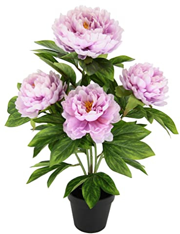 Künstlicher Päonienbusch im Topf 54cm Päonienstrauch Pfingstrose Bauernrose Päonien Rosenstrauch Kunst-Päonie Frühblüher Kübelpflanzen Dekoblumen Kunstblumen Seidenblumen Deko Hochzeitsdeko