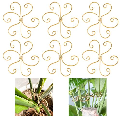 Mewcooss 6pcs Plant Stem Support, Iron Monstera Plants Support, Plant Stem Holder Support Unique Design Bamboo Clamp Set for Outdoor & Indoor Growing Climbing Plants Stabilization and Supports