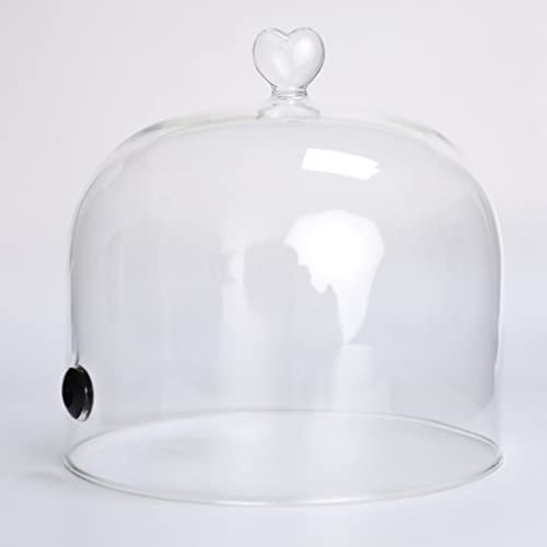 GYQZC Pistola affumicare Coperchio della Cupola della Cloche Fumante per Piatti Ciotole e Bicchieri Copertura per Alimenti in Vetro per Fumatore con Infusore di Fumo, 7,9 * 7,9 Pollici