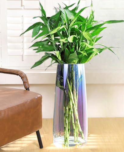 VAVAQQSE Iridescent Glass and Bamboo Floor Vase - 18 Inch Tall Plant Glass Cylinder Vase for Hydroponic Plants and Flowers
